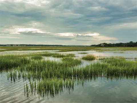aquatic eco systems