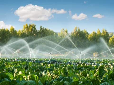 water and ag stock img
