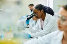 inclusive stem