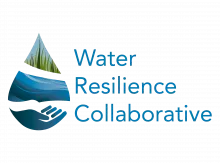 WRC Logo