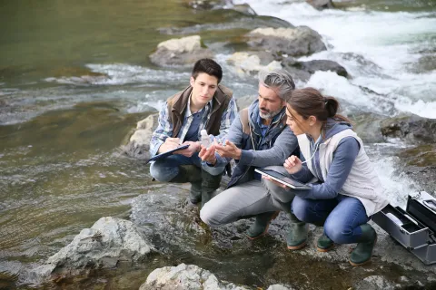 summer 2025 undergrad research